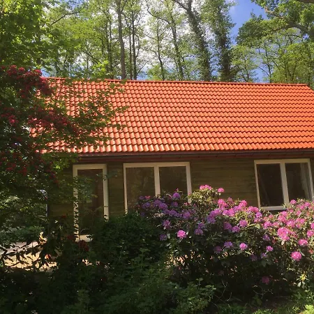 Ohlenbusch Ворпсведе